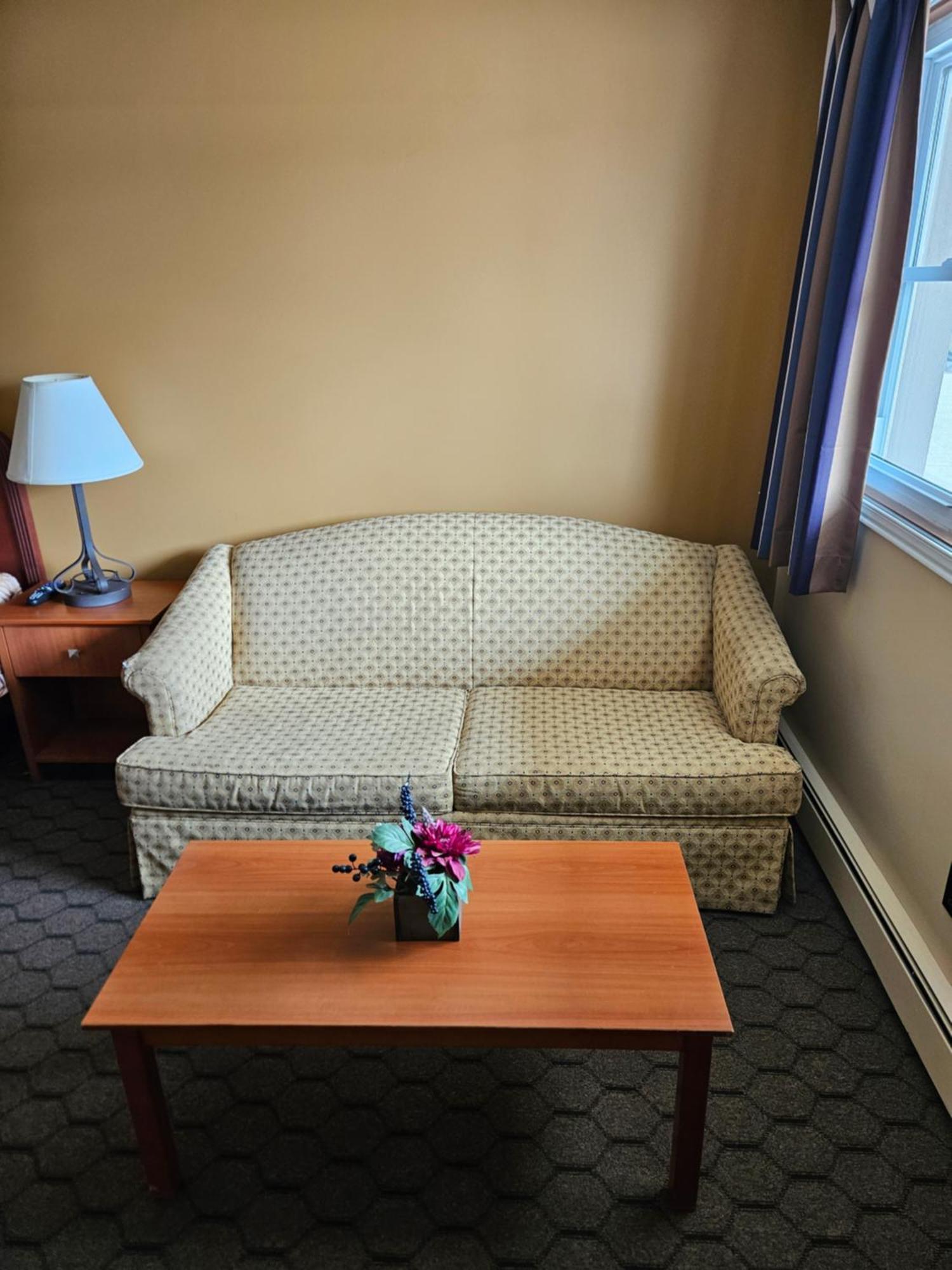 Mount Forest Forest Plaza Motel المظهر الخارجي الصورة